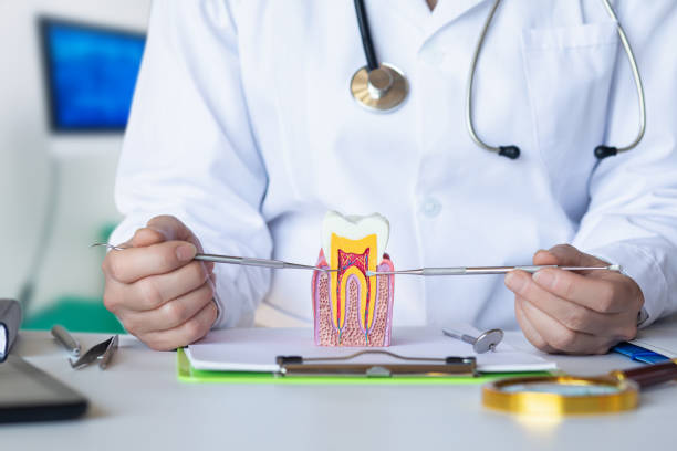 Best Emergency Denture Repair in Cohasset, MN